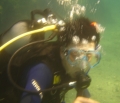 Vic