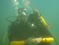 Vic