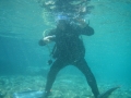 Vic
