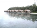 Papua Paradise Eco Resort Vic